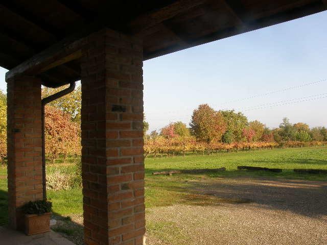 Villa Agriturismo Bosco Del Fracasso Scandiano Exterior foto